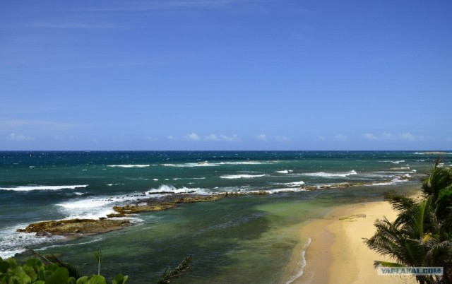 Путешествие по Северной Америке