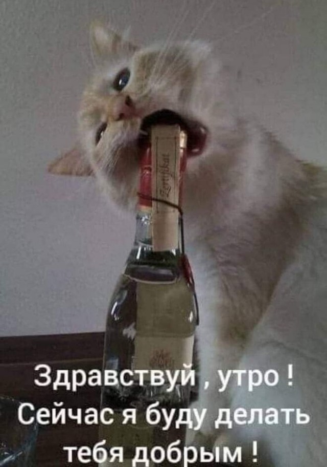 17036910.jpg