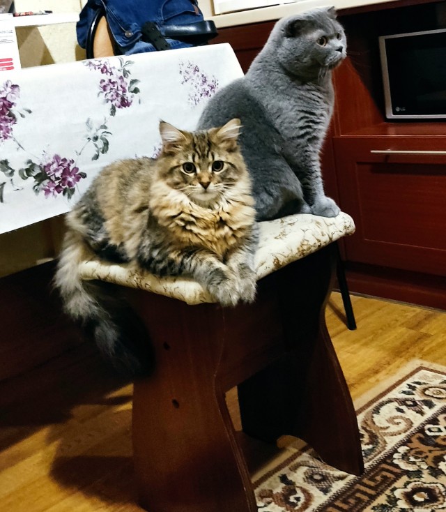 Меня сегодня выбрали
