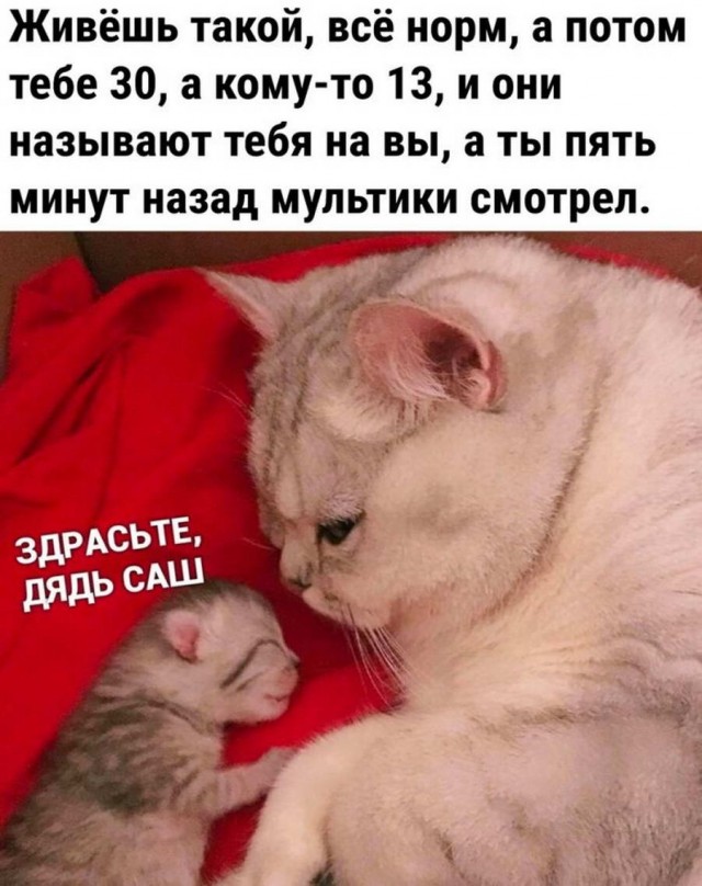 Картинки аморальные и всякие разные - 46