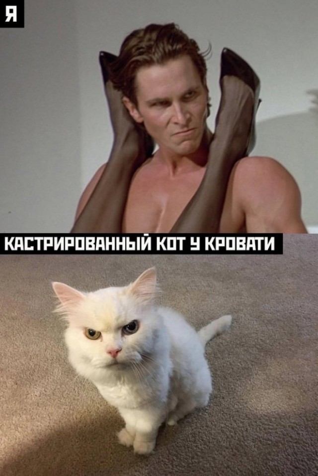 Немного картинок для настроения - 137