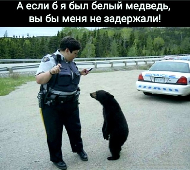 Вторничные веселые картинки с просторов Сети