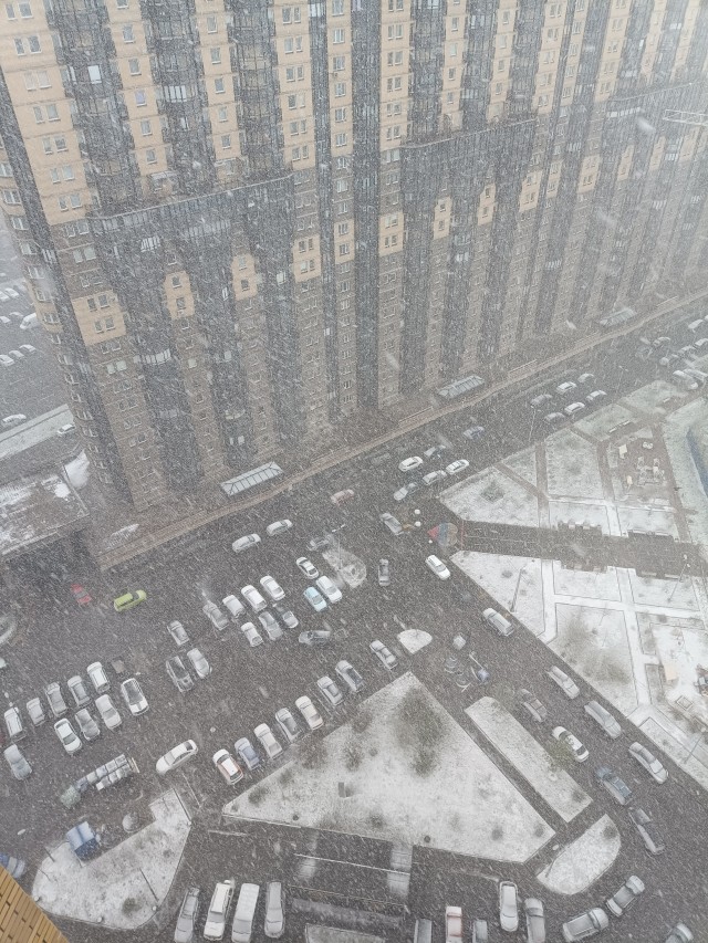 5 мая в Питере