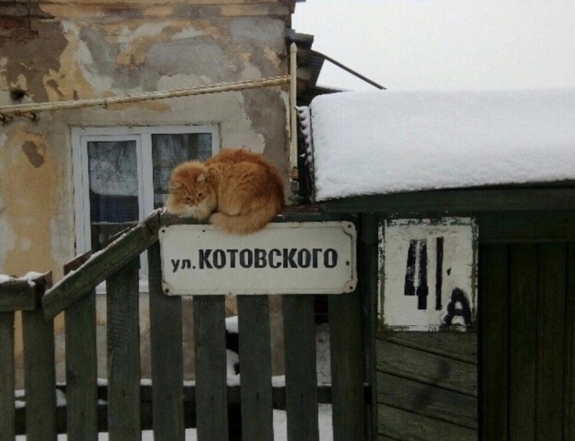 Нуштош 11.06.2023