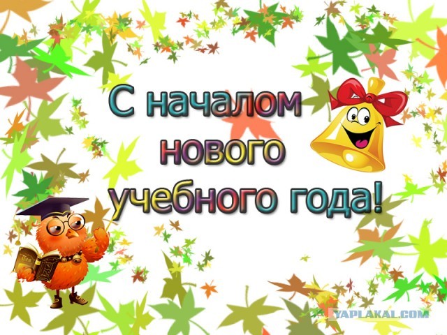 Откуда берутся женоненавистники