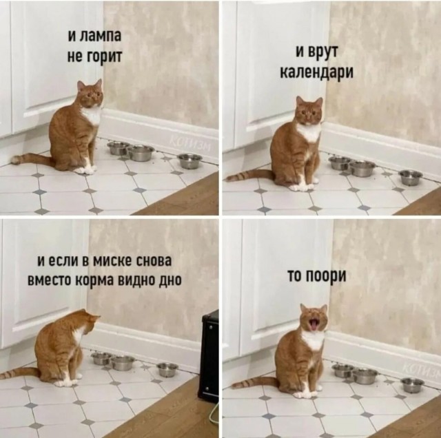 Так себе картинки 02.09.23