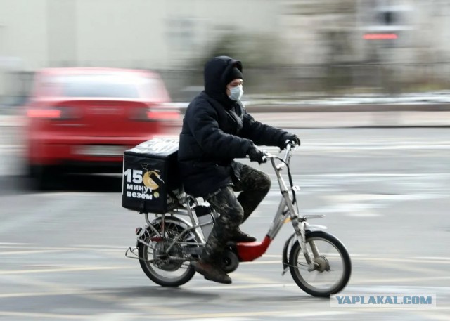 Кавалерия на СВО