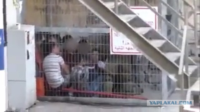 Захваченные еврейские дети в клетках