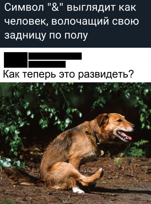 Так себе картинки 20.12.23