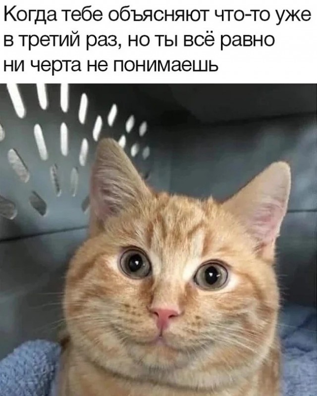 Эмма Уотсон берёт за щеку