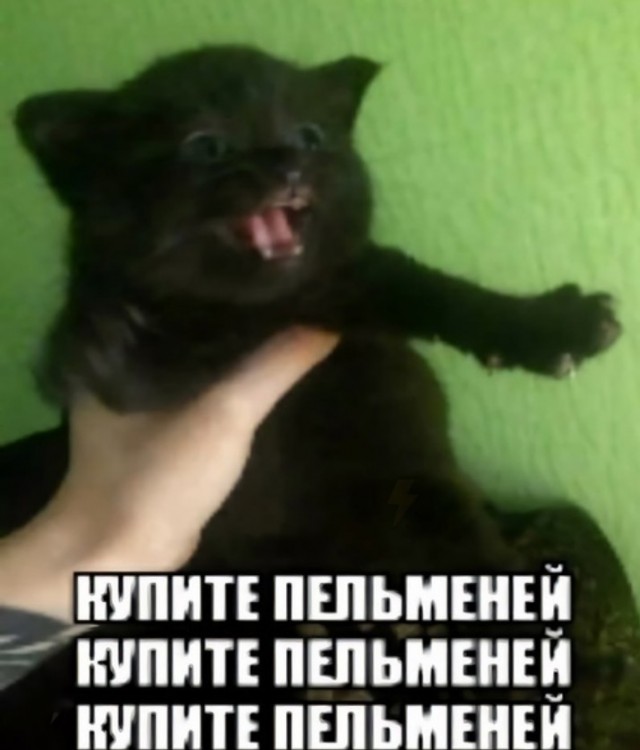 Всего понемногу. От 23.02.24