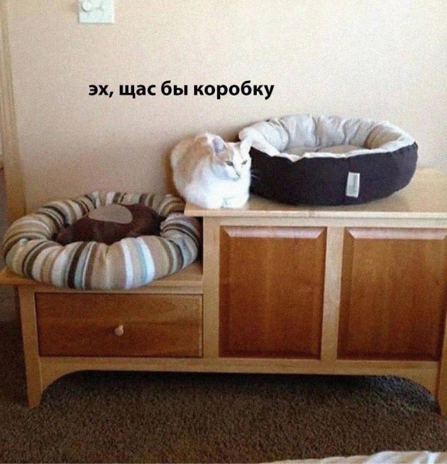 ТРРРРРидцать тРРРРРи от 22 маРРРРта!