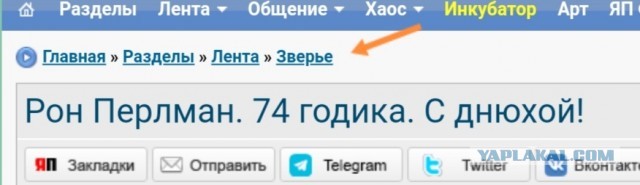 Рон Перлман. 74 годика. С днюхой!