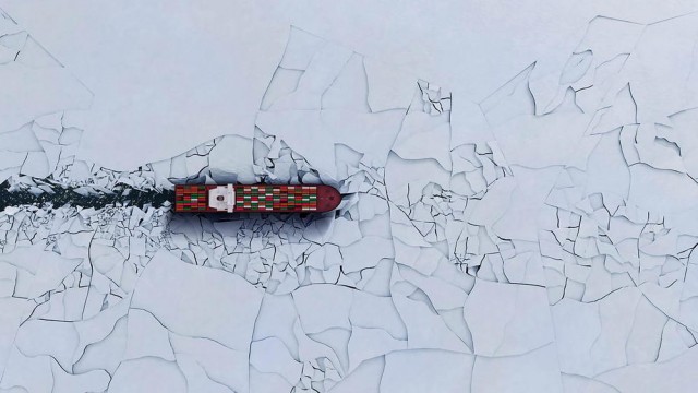 Подборка интересных и веселых картинок 17.04.24