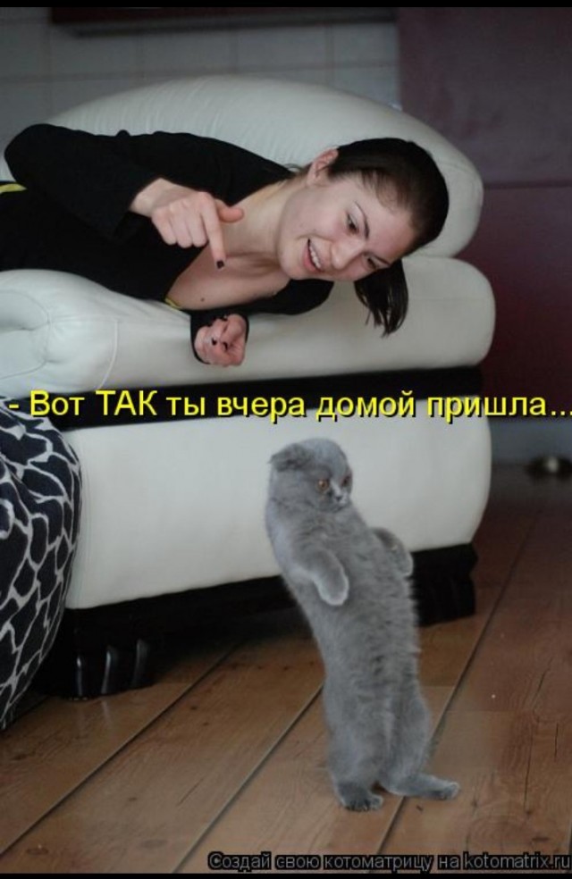 Алкоголизм - это не болезнь
