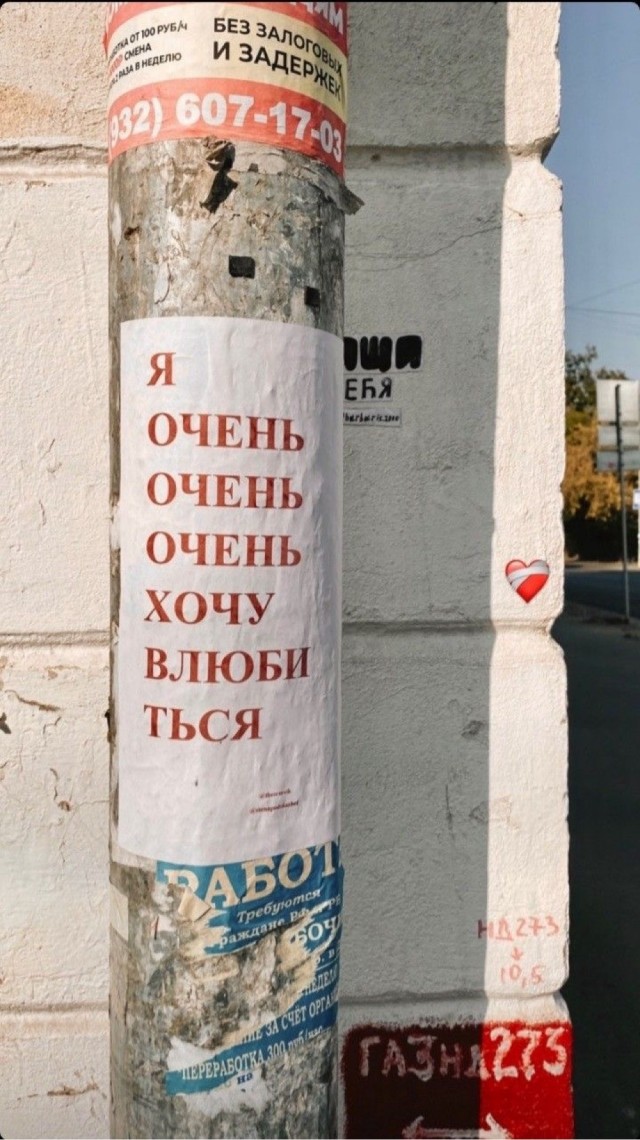 Прикольные и просто красивые картинки 14.06.24