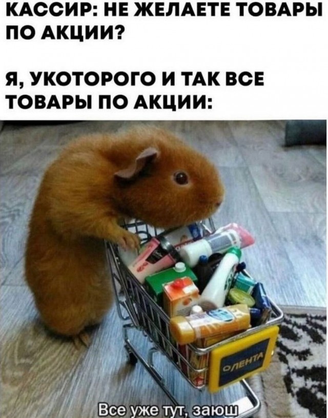 Немного забавных картинок