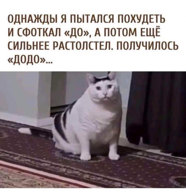 Так себе картинки 30.10.24