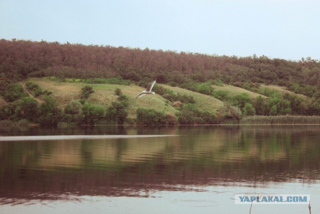 В дали от городской суеты