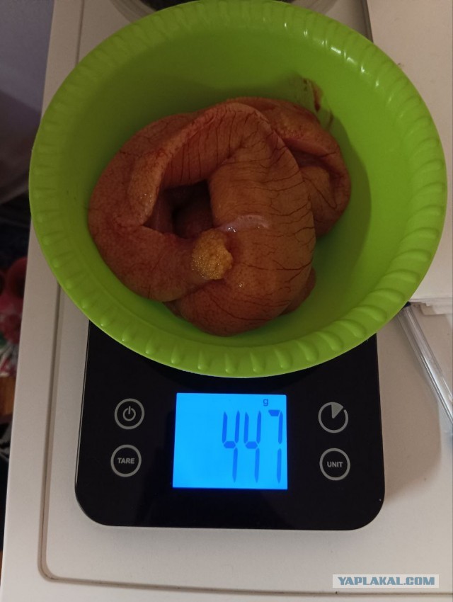 Щучья икра