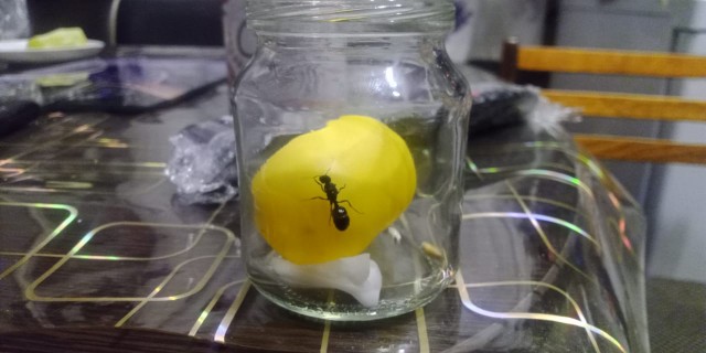 Дружок Валера