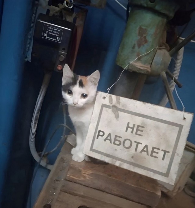Прикольные и просто красивые картинки 10.06.2025