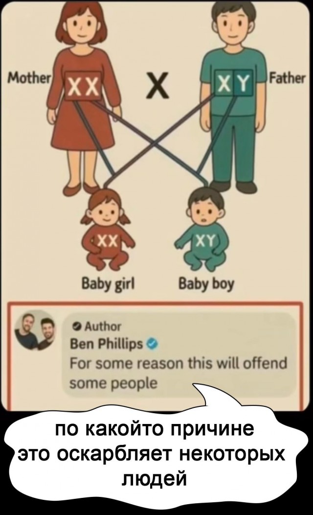 Так себе картинки 06.07.25