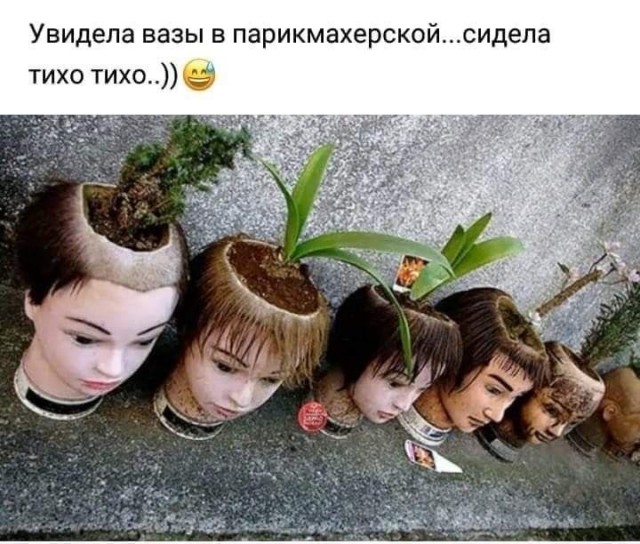 Так себе картинки 09.07.25