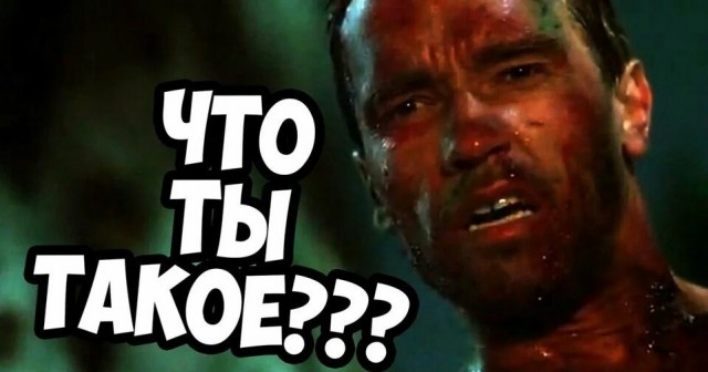 Оно ест... И может отплясывать