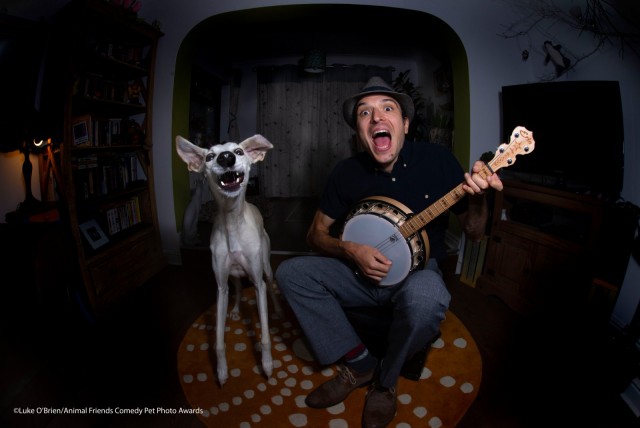 Самые смешные собаки-улыбаки за всю историю конкурса Comedy Pet Photography Awards