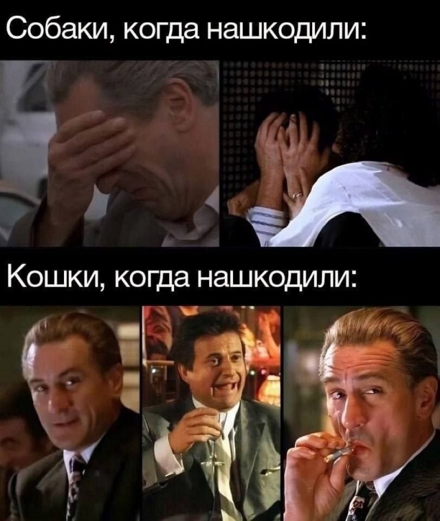 Картинки среды
