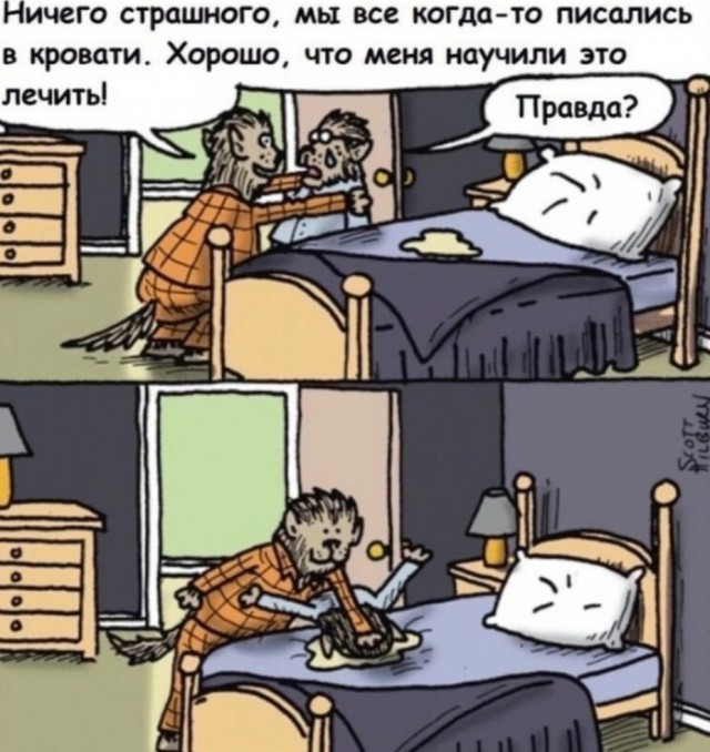 Так себе картинки 30.10.25