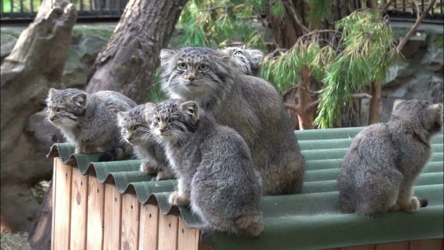 А теперь хорошие новости