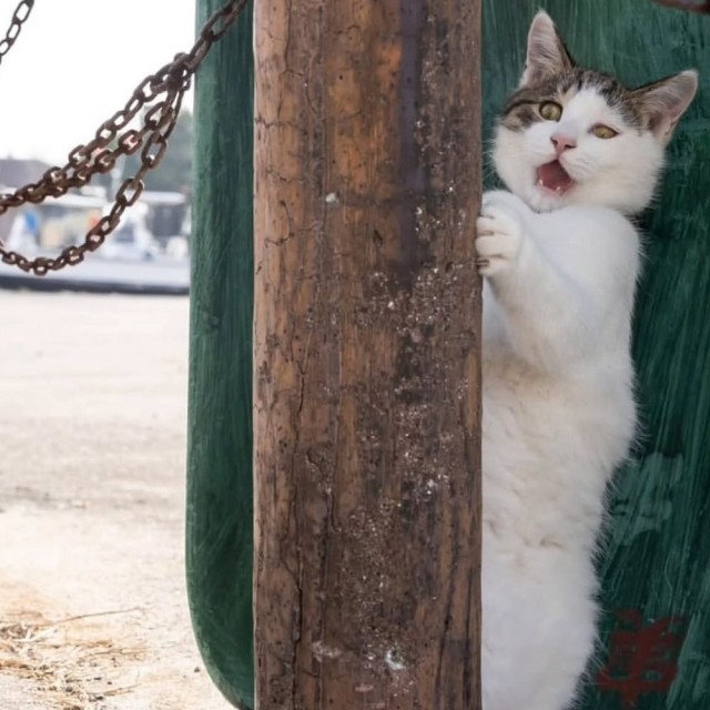 Прикольные и просто красивые картинки 18.11.2025