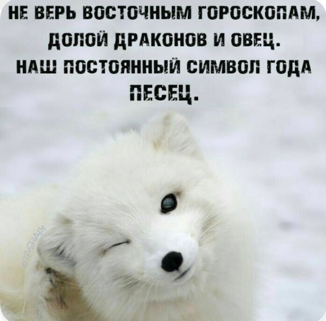 Так себе картинки 29.12.25