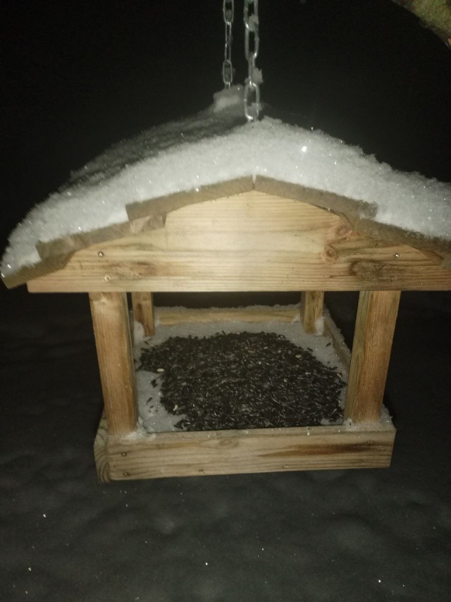 Не забывайте про наших малых пернатых друзей