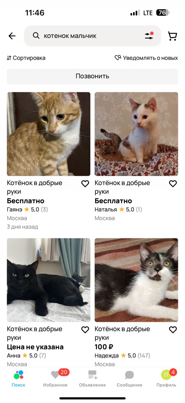 Домашняя живность