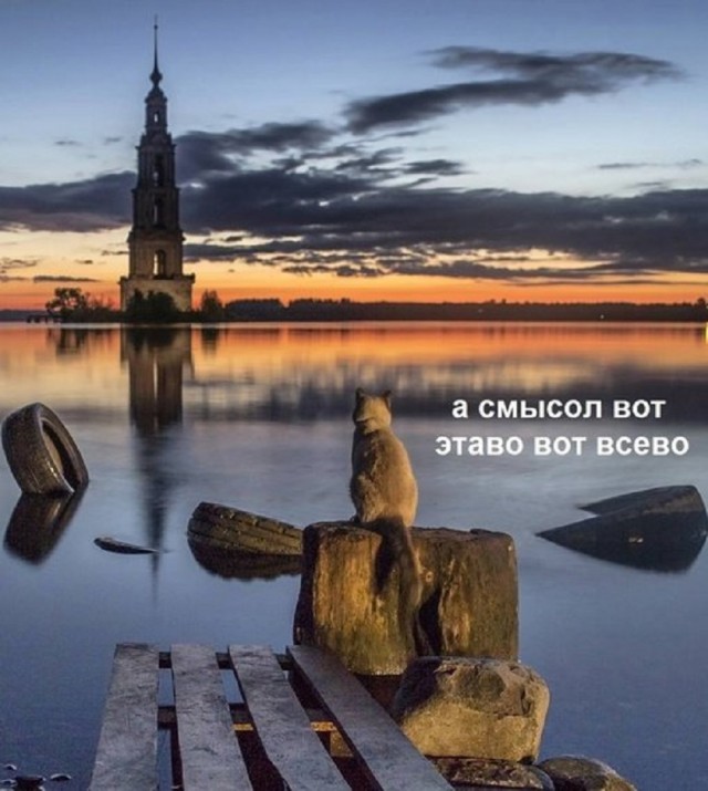 Так себе картинки 24.02.26