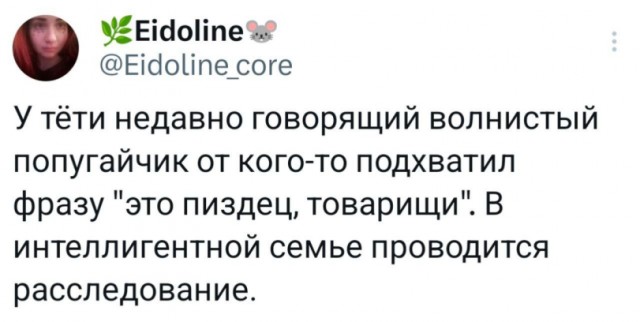 Картинки для деградации 160 (разной степени свежести)