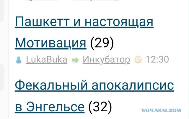 Фекальный апокалипсис в Энгельсе