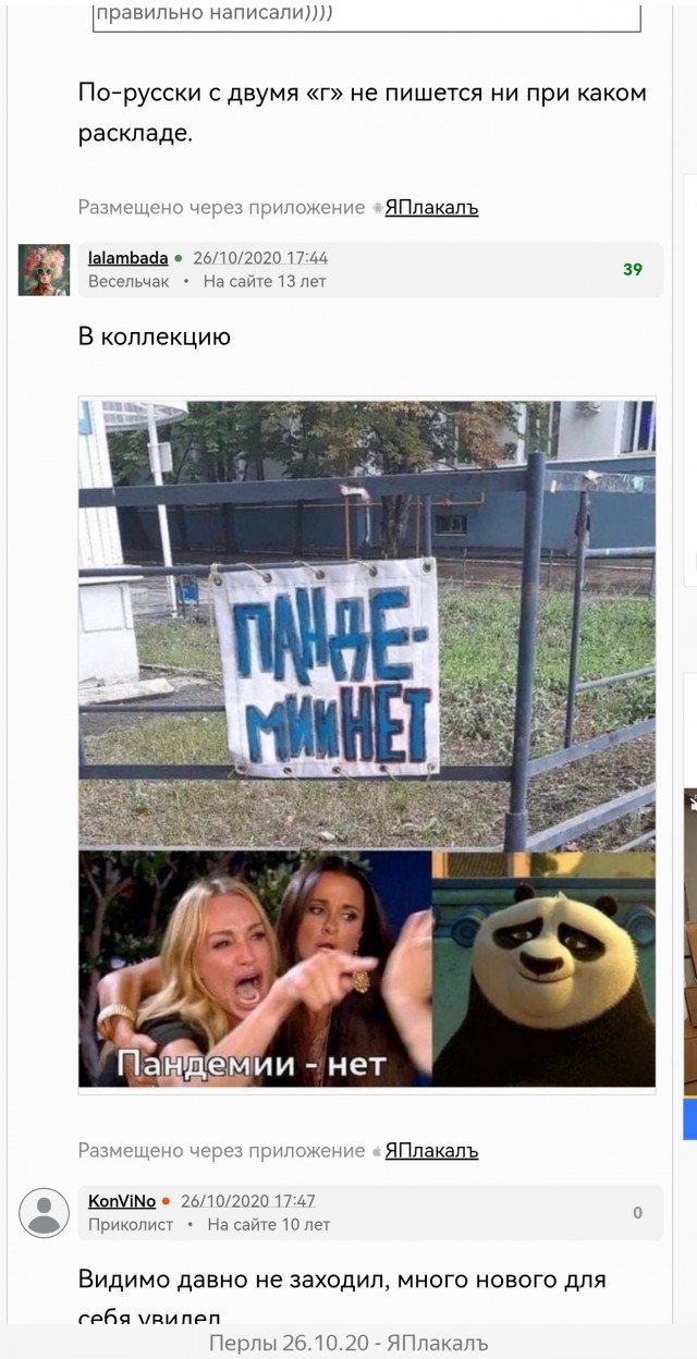 *БАЯН*Пока кот в отпуске