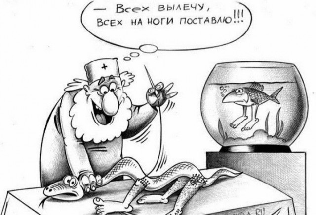 Шикарный хвостик