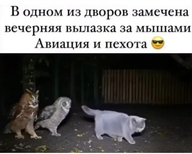 Так себе картинки 08.07.26