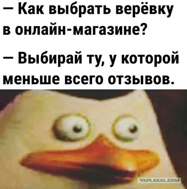 Забавные картинки, шутки из этих ваших интернетов