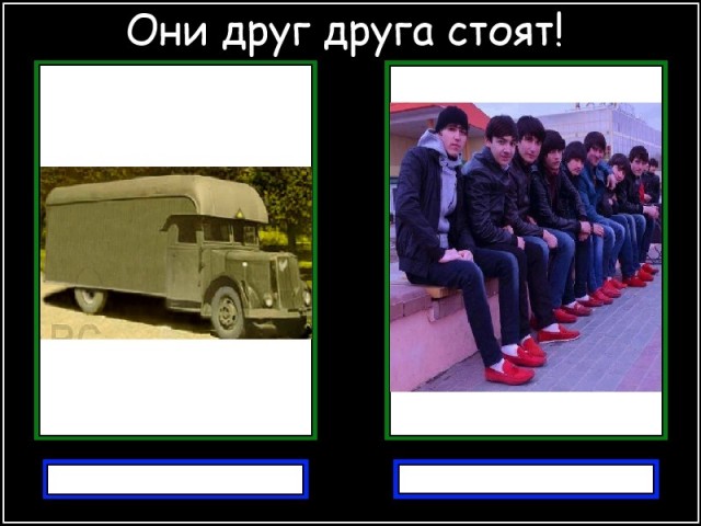 Они друг друга стоят!