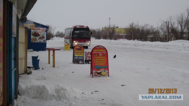 Пурговое