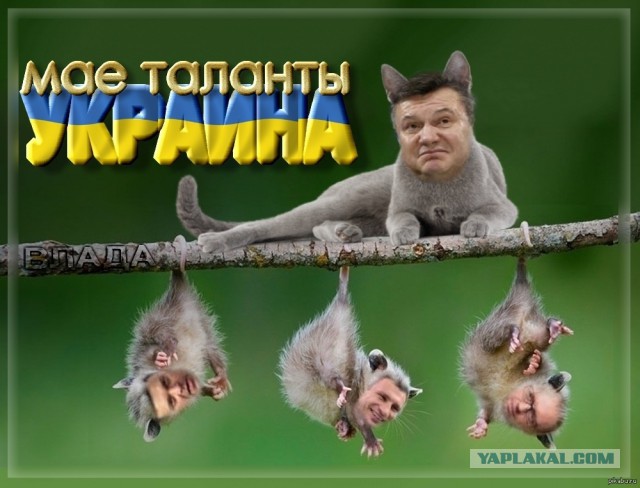 По кому стрелял "Беркут" / "Альфа"