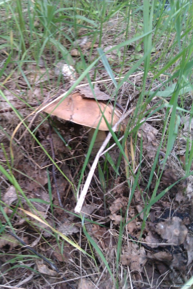 Просто выходные...