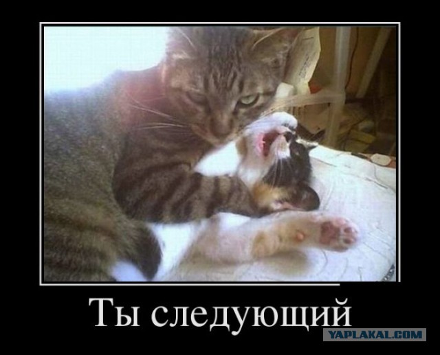 Горячий, непристойный секас на столе!