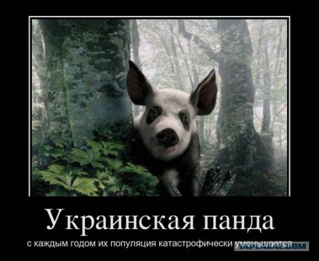 Картинки из сети на понедельник